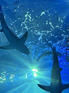 kpop enha, njz, svt, nct, aespa, twice, txt, stayc, treasure, ateez, rv 🎧